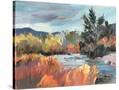 Stretched Canvas