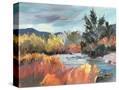 Stretched Canvas