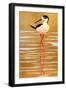 Black Frame