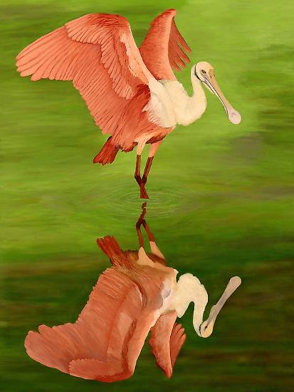 Art Print, , large
