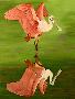 Just the Print