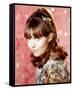 Barbara Feldon - Get Smart-null-Framed Stretched Canvas