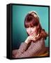 Barbara Feldon - Get Smart-null-Framed Stretched Canvas