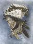 Just the Print