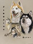 Siberian Husky-Barbara Keith-Giclee Print