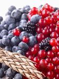 Mixed Berries and Ear of Spelt Wheat-Barbara Lutterbeck-Photographic Print