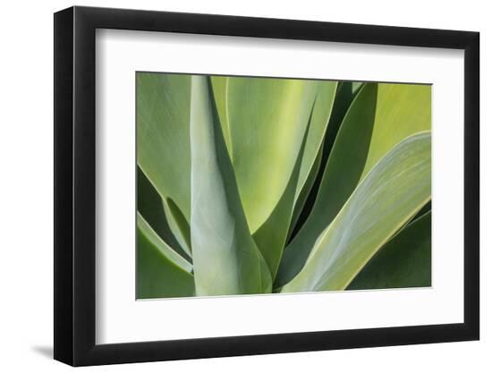 Photo, , large