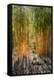 Canvas Black