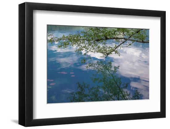 Photo, , large