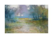 High Country-Barbara Newton-Stretched Canvas