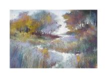 Footpath-Barbara Newton-Giclee Print