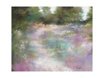 Footpath-Barbara Newton-Giclee Print