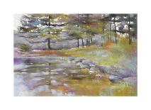 High Country-Barbara Newton-Stretched Canvas