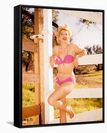 Barbara Nichols-null-Framed Stretched Canvas