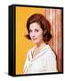 Barbara Parkins-null-Framed Stretched Canvas