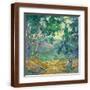 Brown Frame