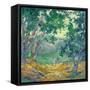 Canvas Black