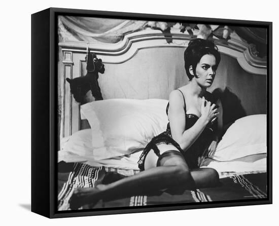 Barbara Steele-null-Framed Stretched Canvas