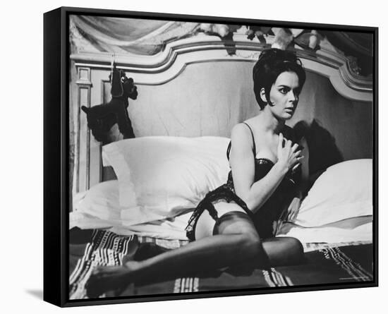 Barbara Steele-null-Framed Stretched Canvas