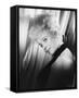 Barbara Windsor-null-Framed Stretched Canvas