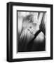 Barbara Windsor-null-Framed Photo