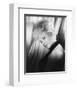 Barbara Windsor-null-Framed Photo