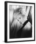 Barbara Windsor-null-Framed Photo