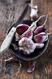 Garlic Bulbs and Cloves in a Ceramic Dish-barbaradudzinska-Framed Stretched Canvas
