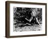 Barbarella, 1968-null-Framed Photographic Print