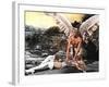 Barbarella, Jane Fonda, John Phillip Law, 1968-null-Framed Photo