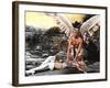 Barbarella, Jane Fonda, John Phillip Law, 1968-null-Framed Photo