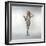 Barbarella (photo)-null-Framed Photo