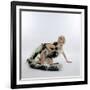 Barbarella (photo)-null-Framed Photo