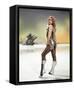 Framed Canvas