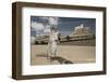 Barbary Ground Squirrel (Atlantoxerus Getulus) Outside Hotel-Sam Hobson-Framed Photographic Print