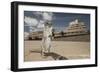 Barbary Ground Squirrel (Atlantoxerus Getulus) Outside Hotel-Sam Hobson-Framed Photographic Print