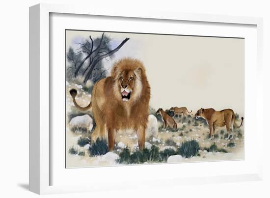 Barbary Lions-Maurice Wilson-Framed Giclee Print