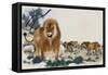 Barbary Lions-Maurice Wilson-Framed Stretched Canvas