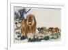 Barbary Lions-Maurice Wilson-Framed Giclee Print