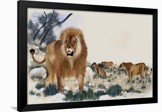 Barbary Lions-Maurice Wilson-Framed Giclee Print