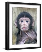 Barbary Macaque (Macaca sylvanus) newborn baby, sticking tongue out, Gibraltar-Andrew Forsyth-Framed Photographic Print