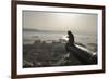 Barbary Macaque (Macaca Sylvanus) Resting on Old Canon at Sunrise-Mark Macewen-Framed Photographic Print