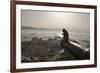 Barbary Macaque (Macaca Sylvanus) Resting on Old Canon at Sunrise-Mark Macewen-Framed Photographic Print