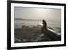 Barbary Macaque (Macaca Sylvanus) Resting on Old Canon at Sunrise-Mark Macewen-Framed Photographic Print