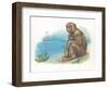 Barbary Macaque Macaca Sylvanus with a Young-null-Framed Giclee Print