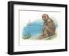 Barbary Macaque Macaca Sylvanus with a Young-null-Framed Giclee Print