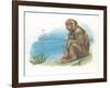 Barbary Macaque Macaca Sylvanus with a Young-null-Framed Giclee Print