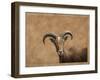 Barbary Ram-James W. Johnson-Framed Giclee Print