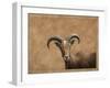 Barbary Ram-James W. Johnson-Framed Giclee Print