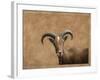 Barbary Ram-James W. Johnson-Framed Giclee Print